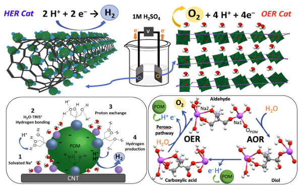 Graphical overview of the POM-based water-splitting catalyst and reaction pathways