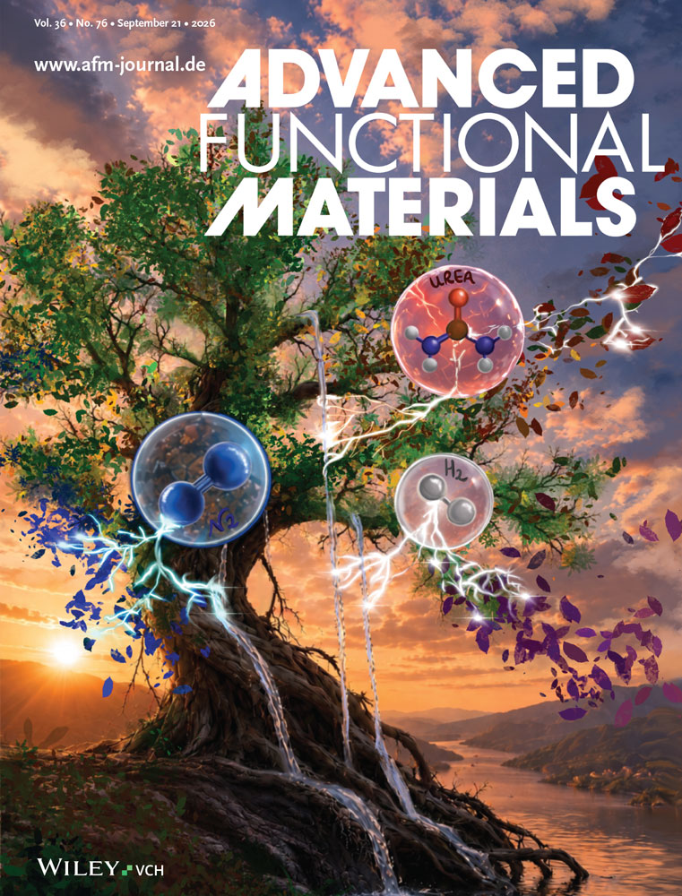 Advanced Functional Materials issue 76/2026 cover artwork designed by Melanie Guillén Soler