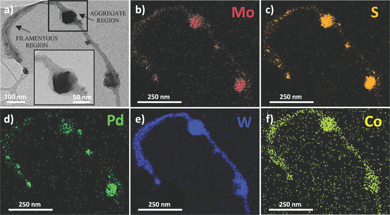 TEM and elemental mapping figure for the hierarchical POM palladium molybdenum disulfide catalyst